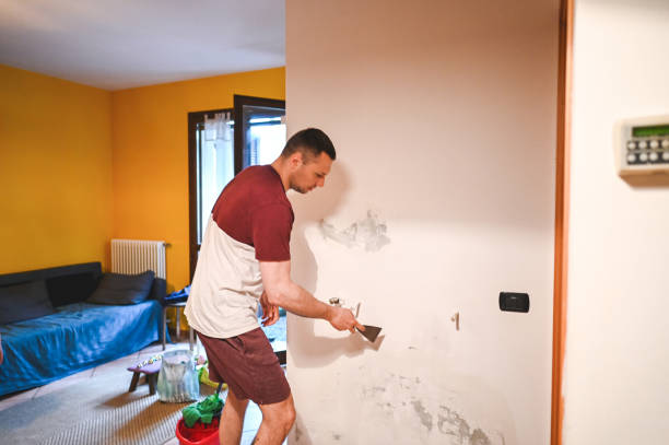 Best Commercial Mold Remediation in Montevideo, MN